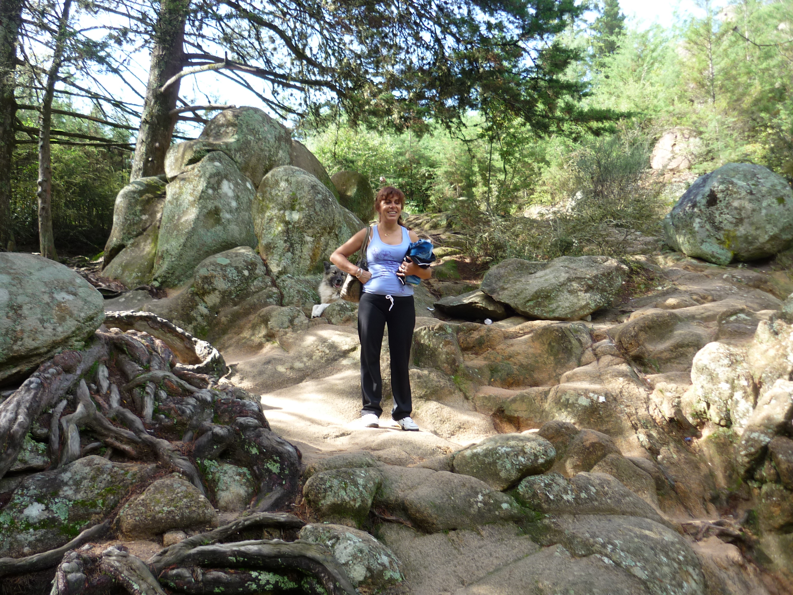 fotos/2011 - Los Reartes/P1010861.JPG